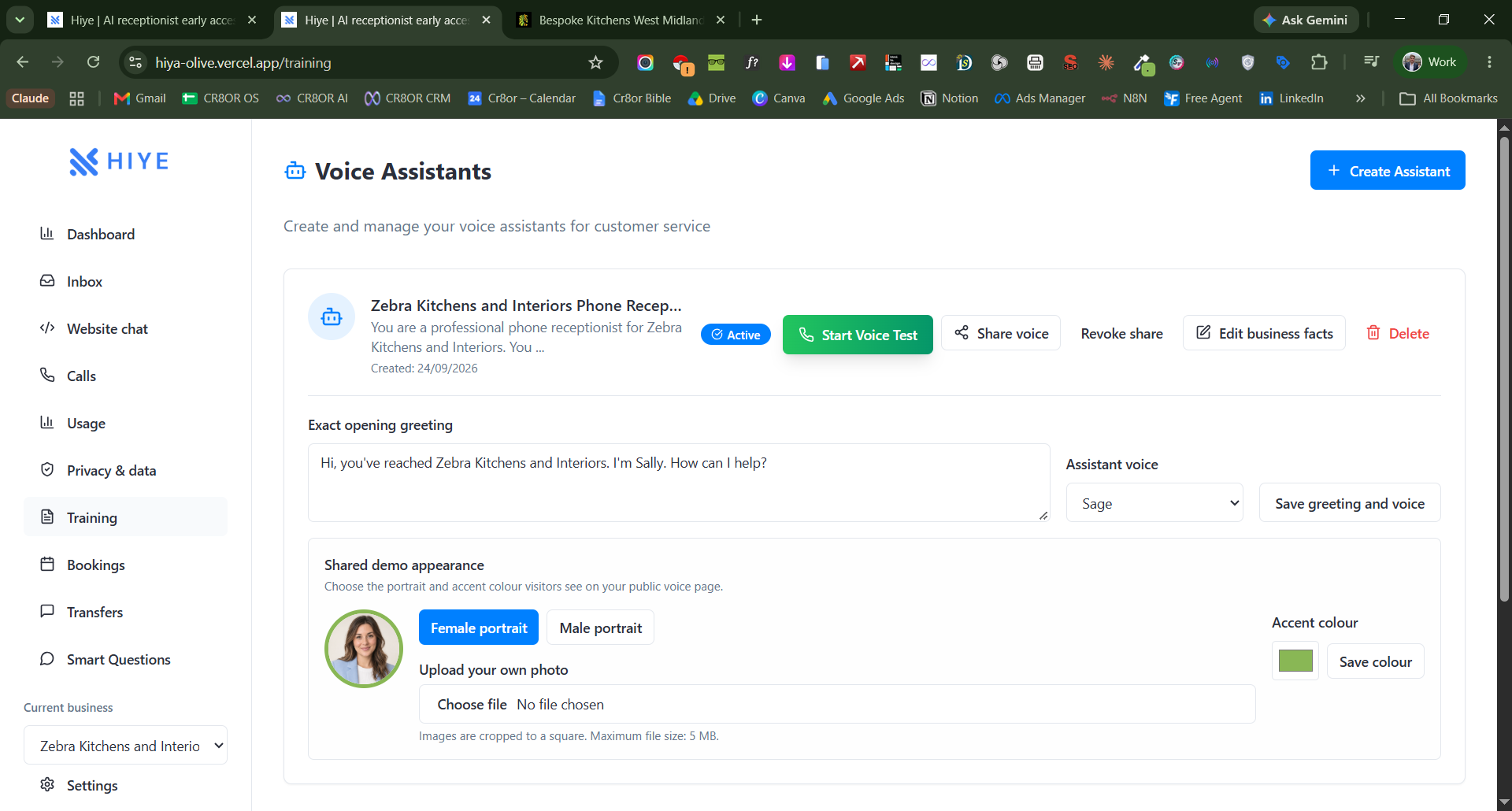 HIYE voice assistant training and business settings